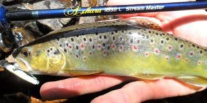 guide-peche-riviere-05-hautes-alpes-ultra-leger