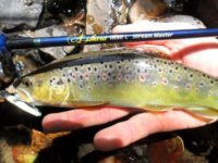 guide-peche-riviere-05-hautes-alpes-ultra-leger